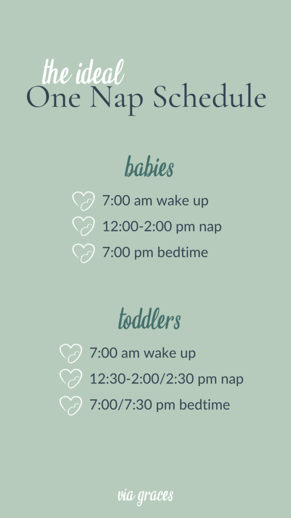 one nap schedule