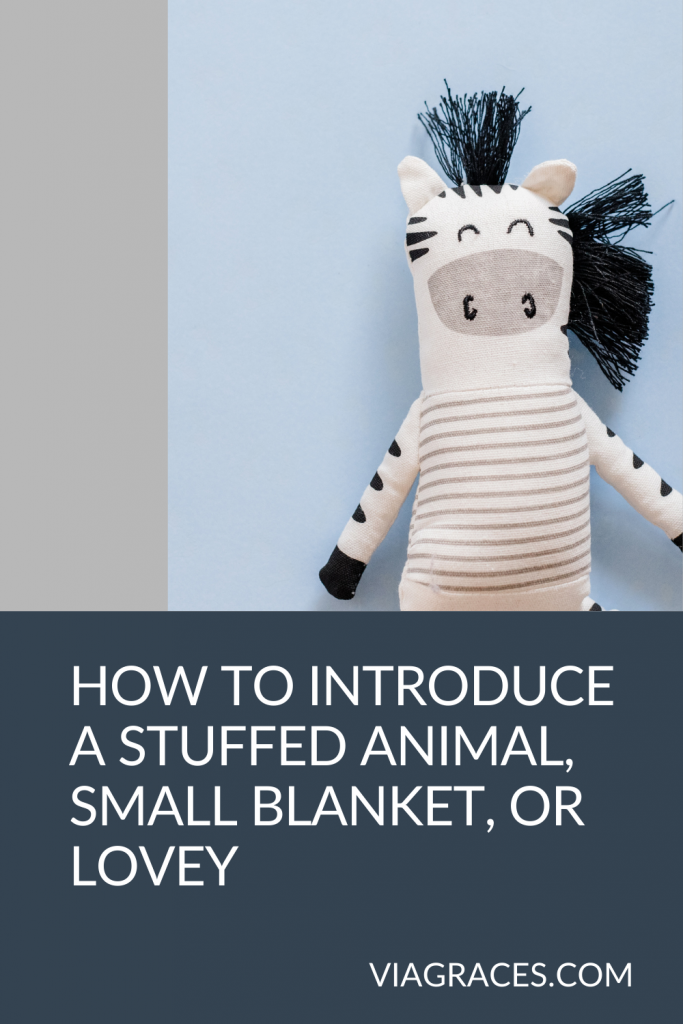 stuffed animal, small blanket, lovey