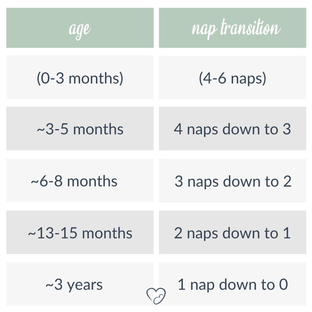 two and a half year old nap schedule