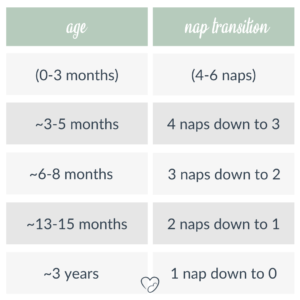 nap transitions
