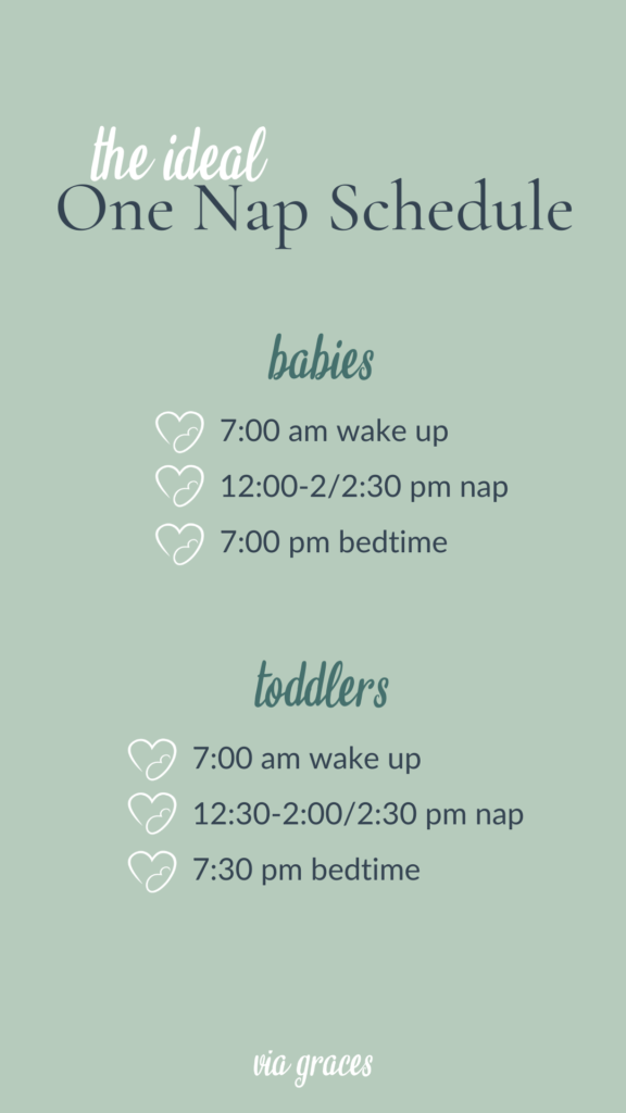 one nap schedule